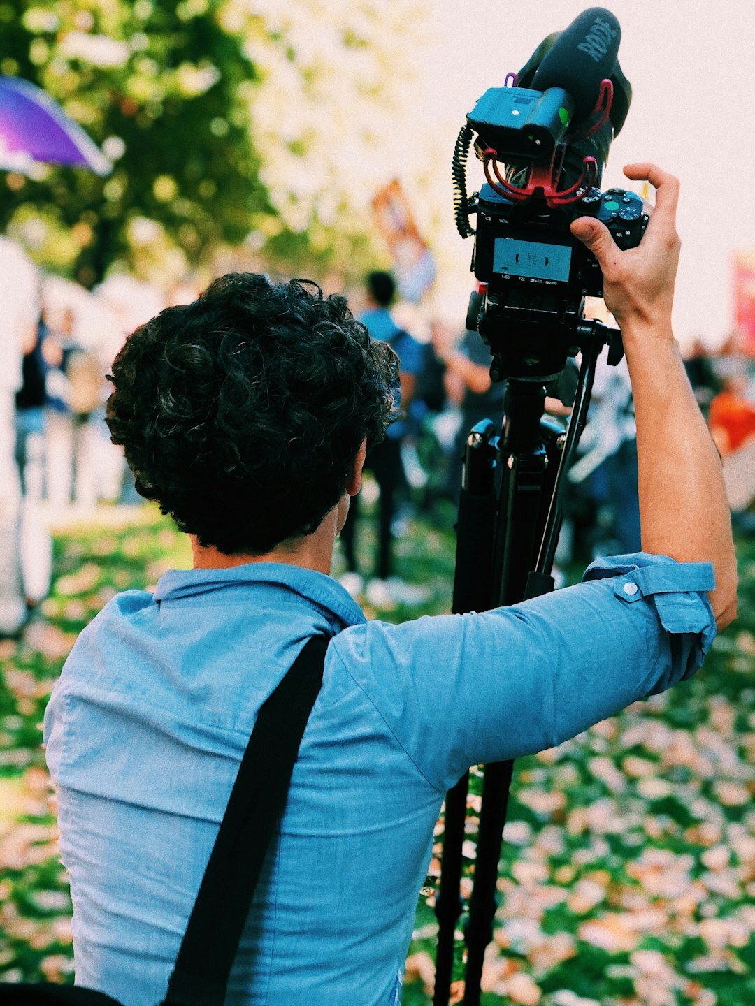 media professional interview